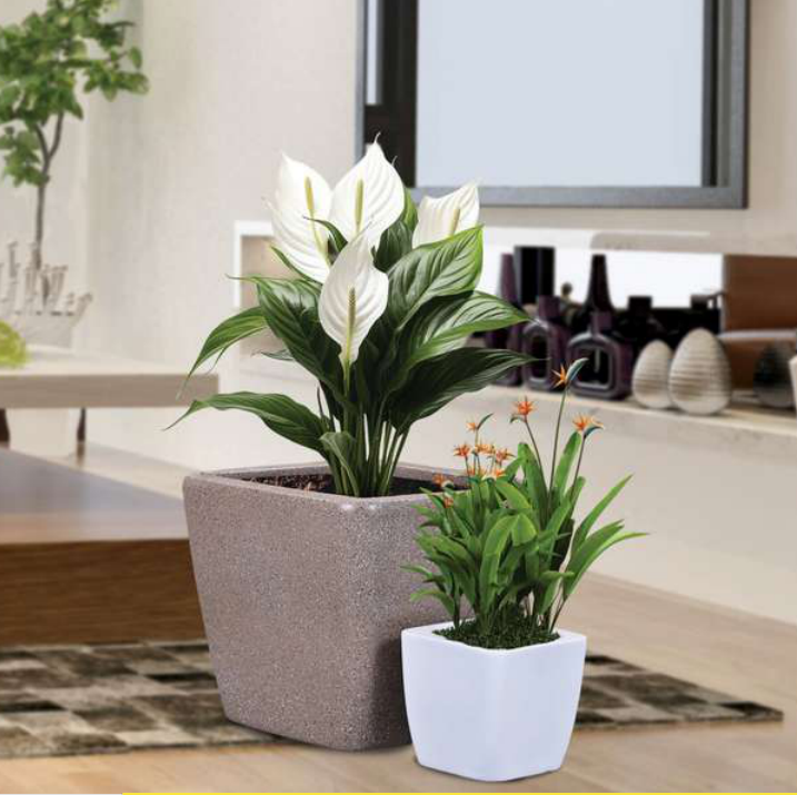 Alfa Planter