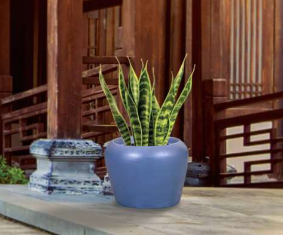 Aqua Planter