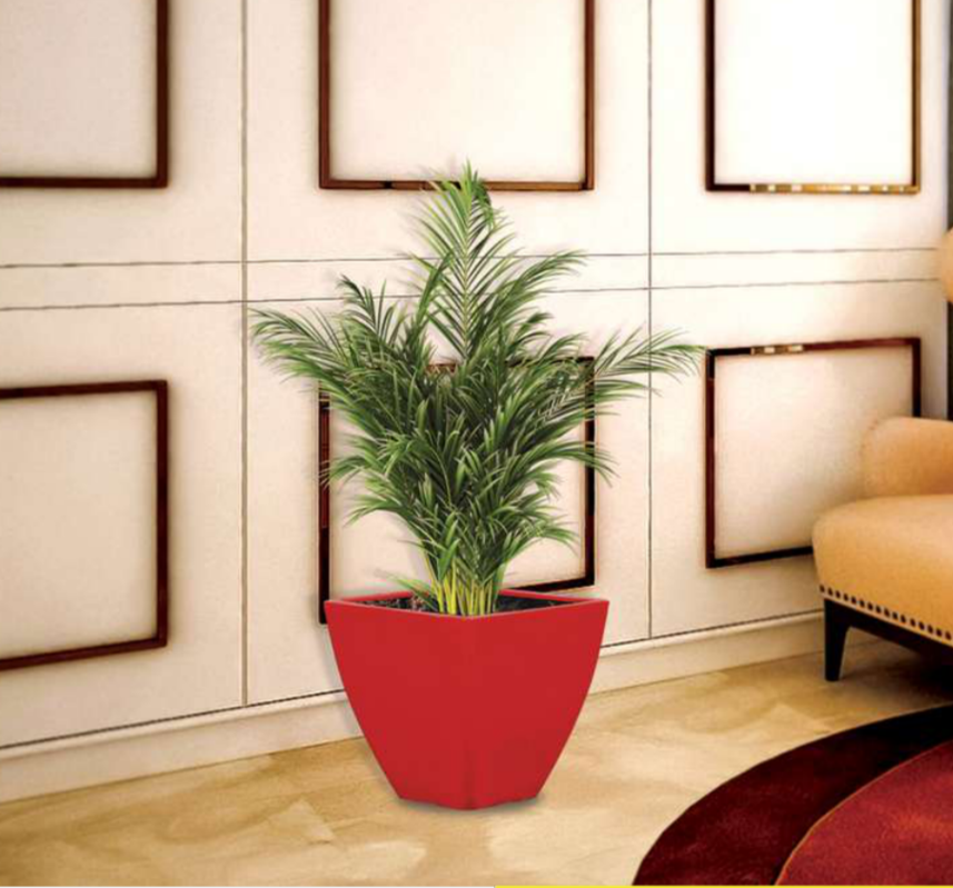 Cello Planter