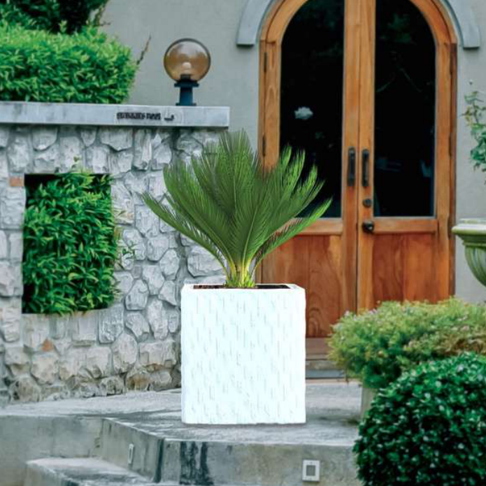 Dholpuri-2 Planter