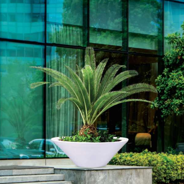 Dolphina Planter