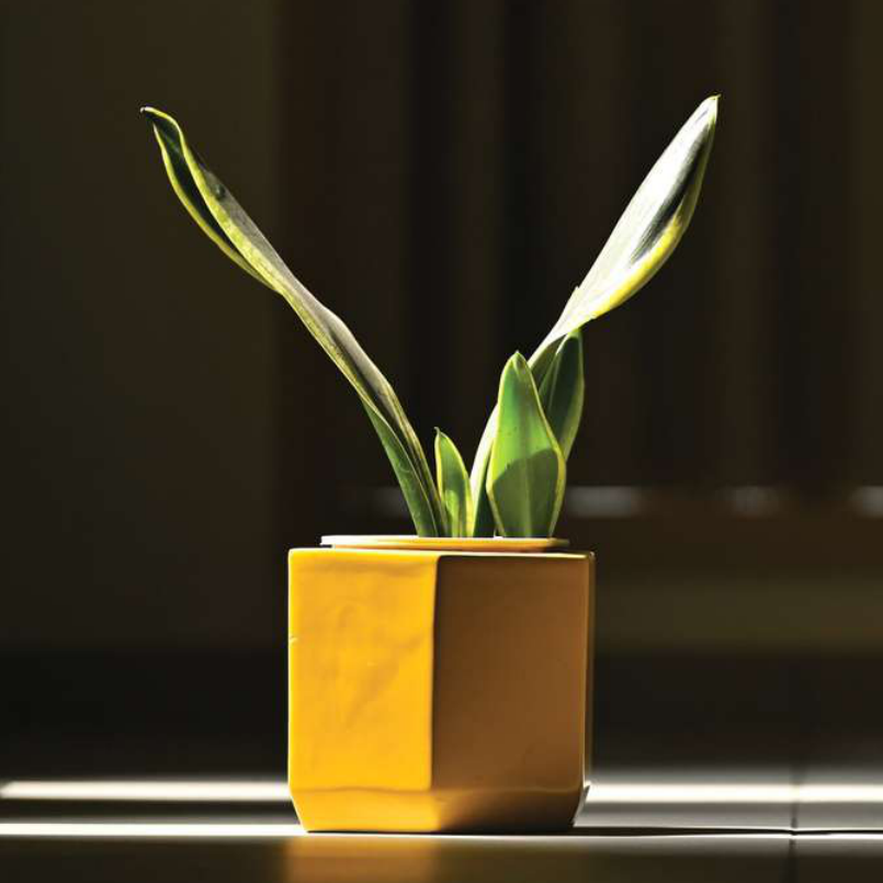 Onyx D Planter
