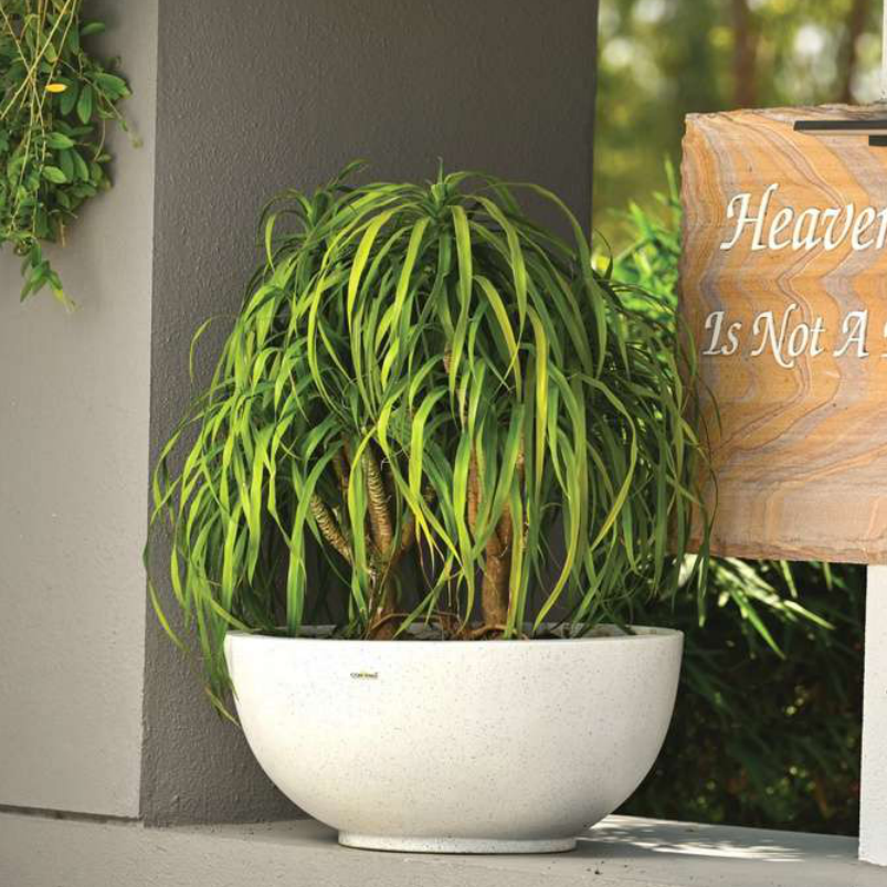 Perry Planter