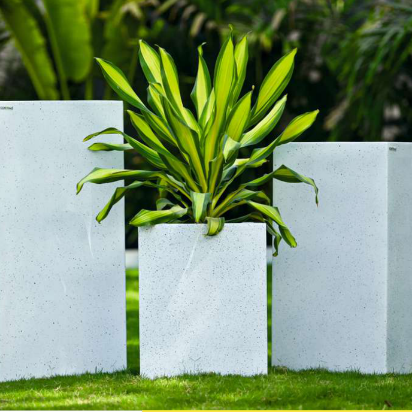 Robina Planter
