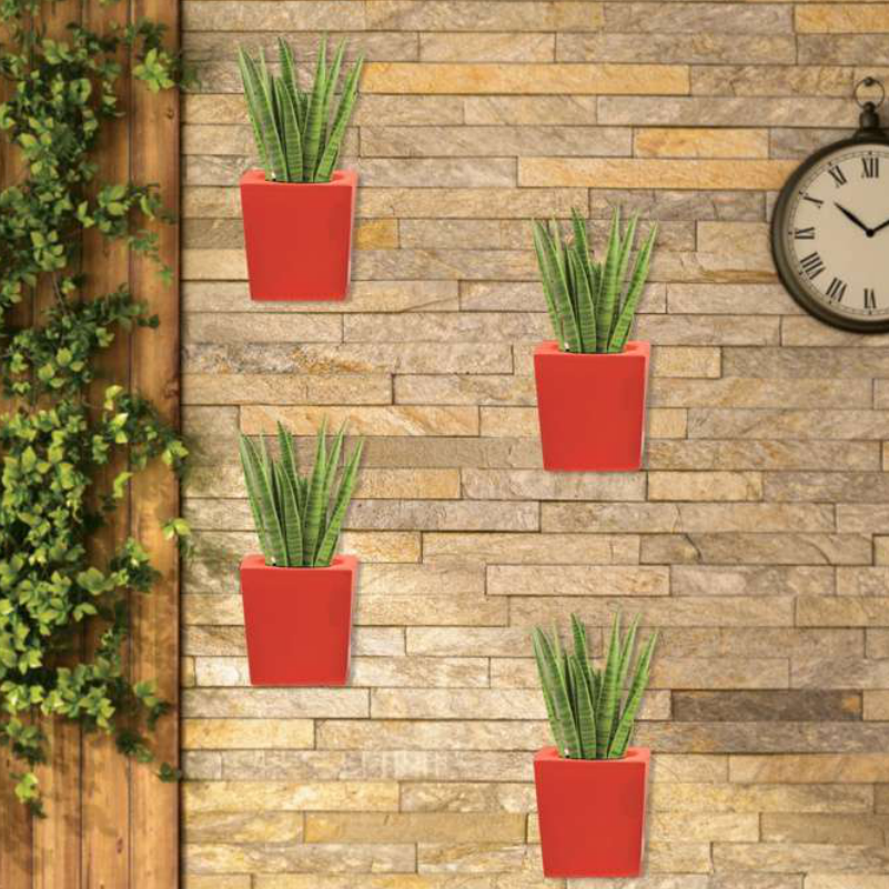 Wall Concept Planter